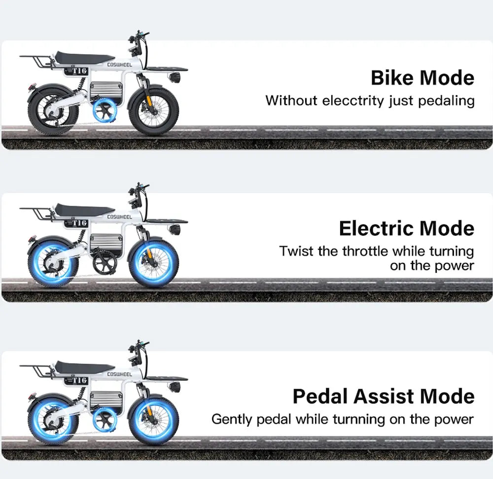 Coswheel Electric Bike T16 Adult 1000W 48V 20AH Removable battery Mountain Ebikes Fat Tire City Commuting Used ebike