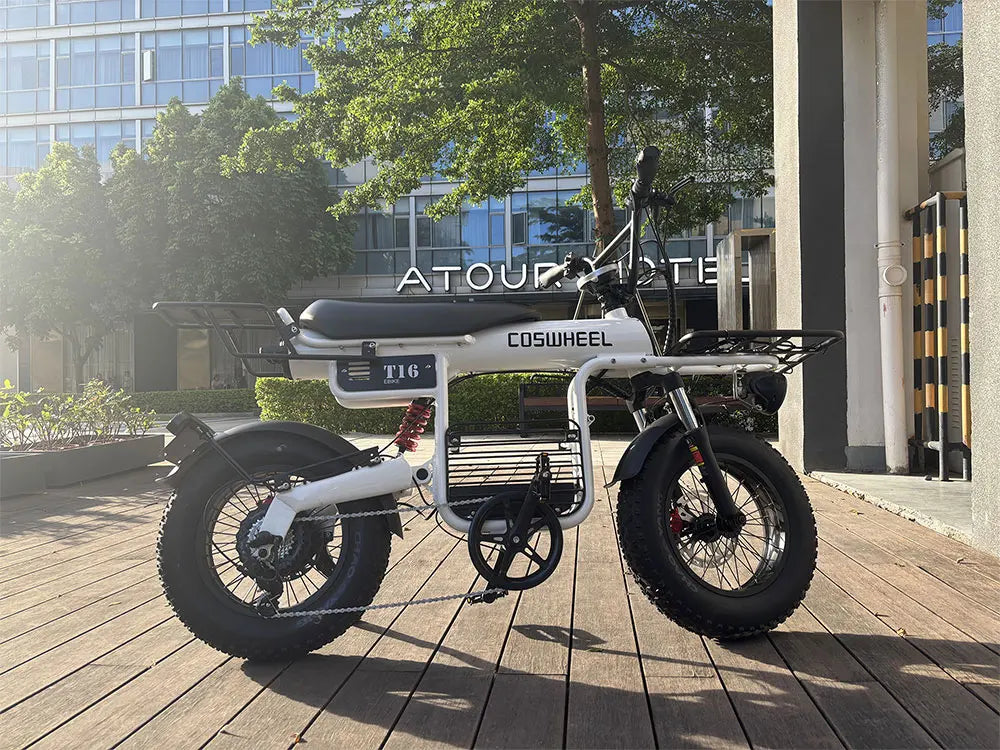Coswheel Electric Bike T16 Adult 1000W 48V 20AH Removable battery Mountain Ebikes Fat Tire City Commuting Used ebike