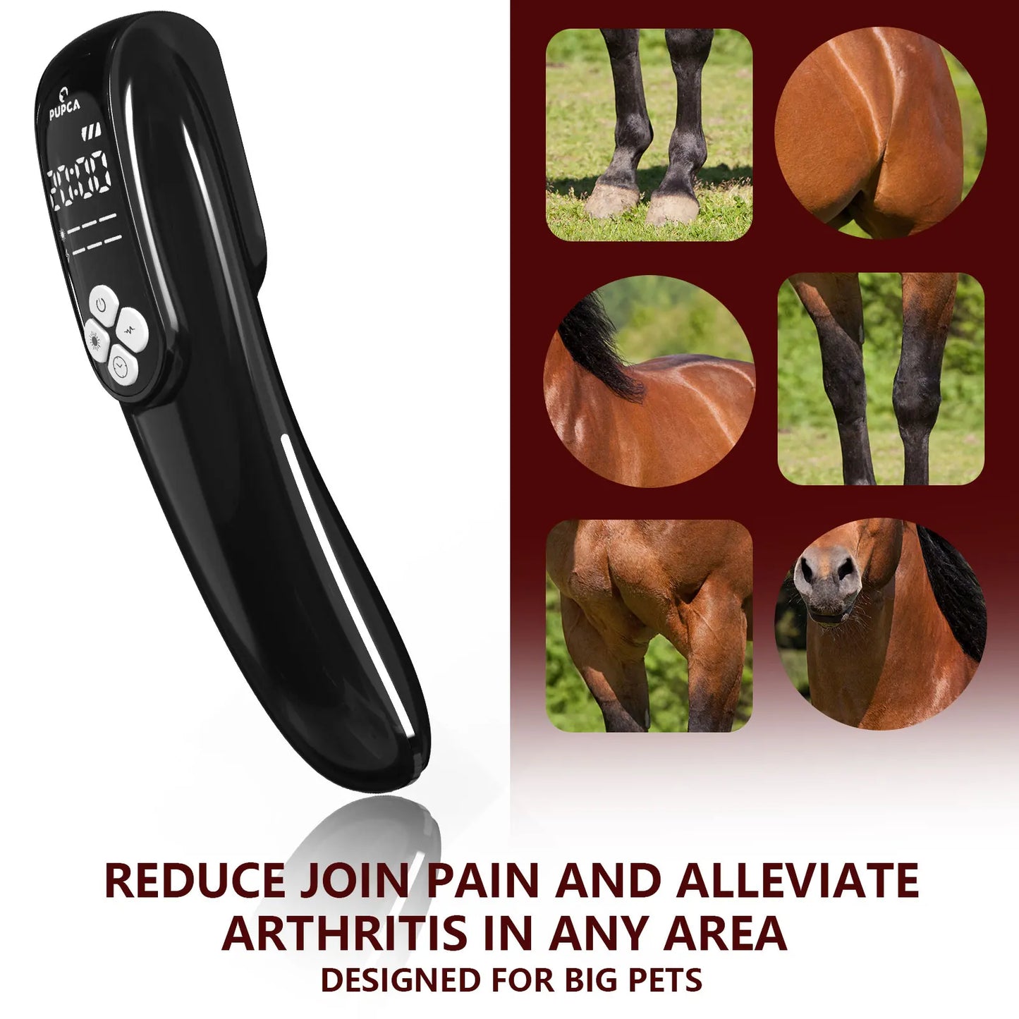 Cold Laser Therapy Device for Horse 4x808NM LLLT&TENS for Arthritis Pain Relief Electrical Stimulation for Tendon Recover