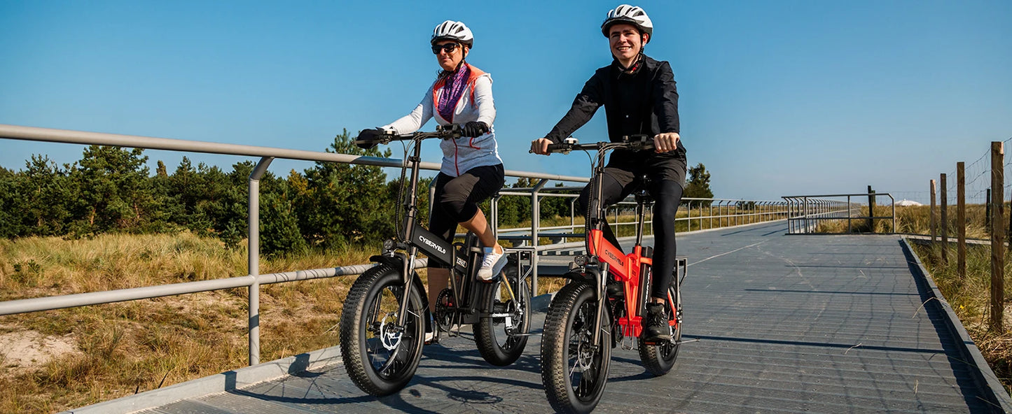 1000W Folding Electric Bike, 48V 20AH Large Removable Battery E Bike, 30+MPH, 80 Miles Max Range, 20" Fat Tire Electric Bike for