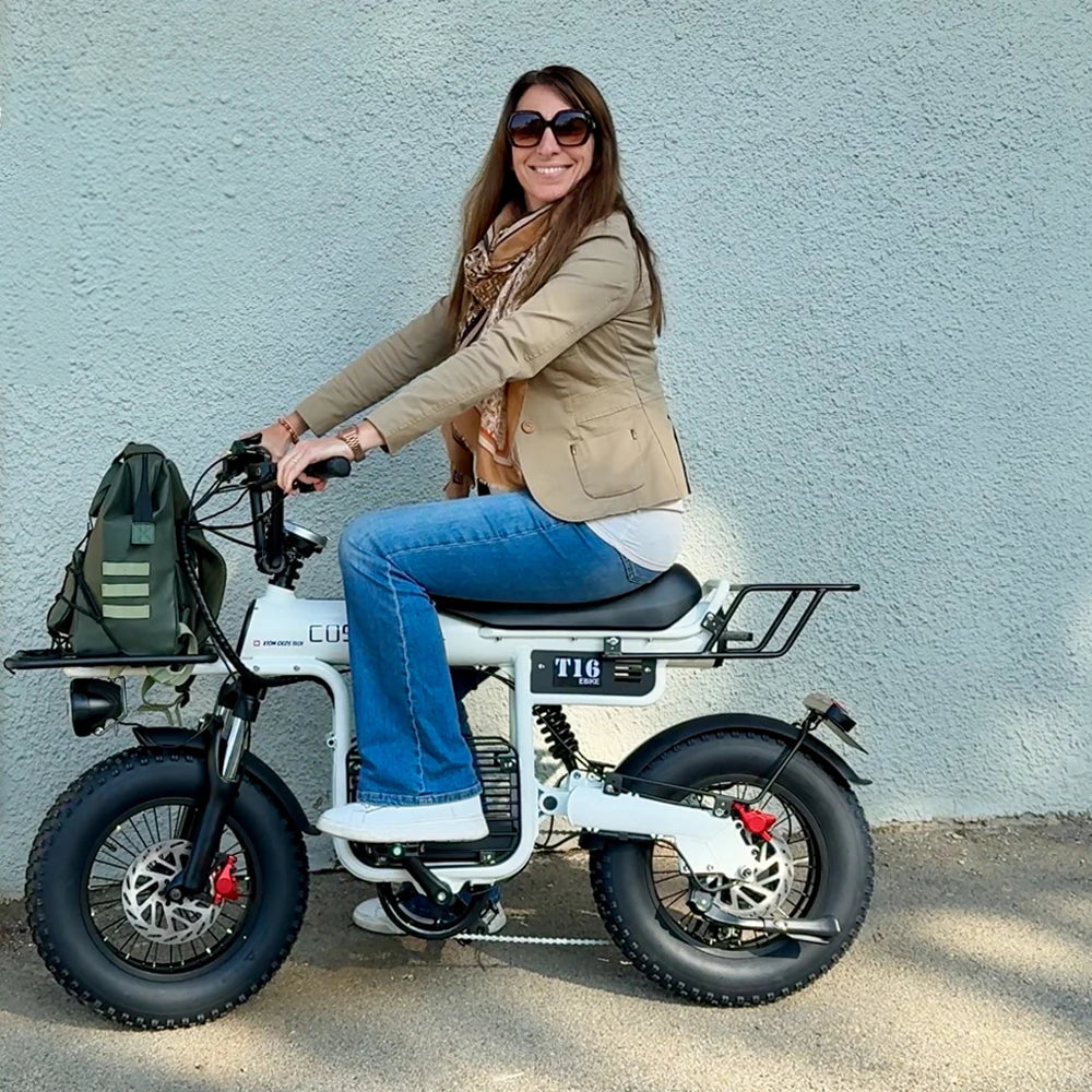 Coswheel Electric Bike T16 Adult 1000W 48V 20AH Removable battery Mountain Ebikes Fat Tire City Commuting Used ebike