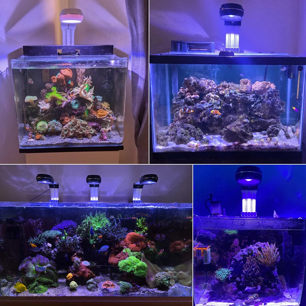 PopBloom RL60 WiFi Aquarium Reef Light 60W, Full Spectrum Marine Aquarium LED Light For Coral SPS/LPS Nano Tank, Include Mount