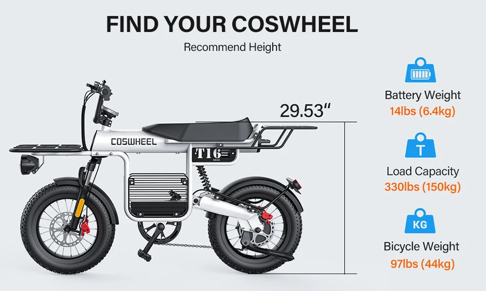 Coswheel Electric Bike T16 Adult 1000W 48V 20AH Removable battery Mountain Ebikes Fat Tire City Commuting Used ebike