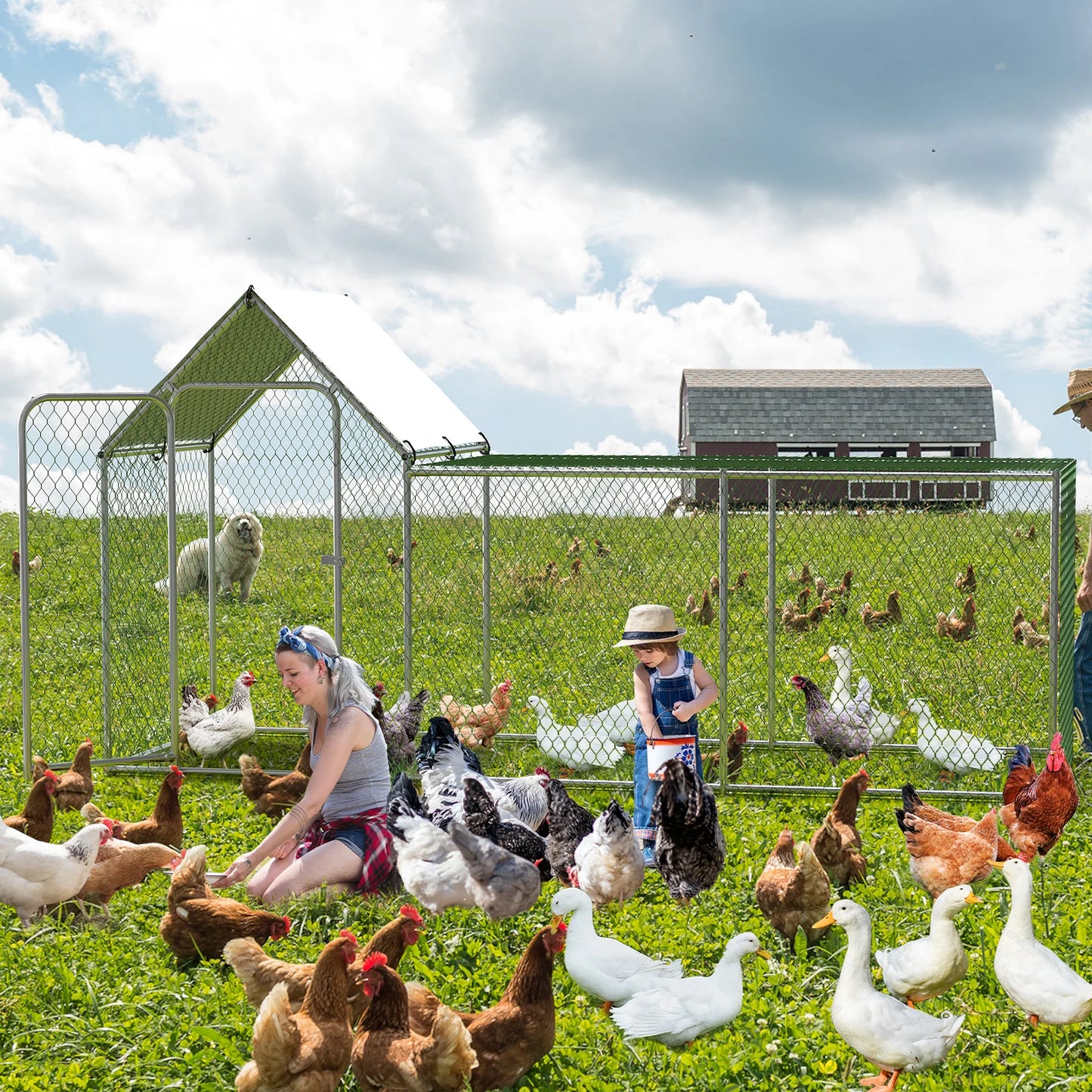 Large Metal Chicken Coop, Chicken Run with Waterproof and Anti-UV Cover, Walk-in Chicken Pen for 6/10 Chickens Rabbits Duck