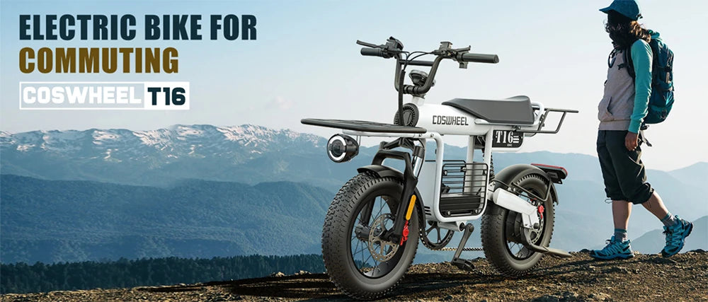 Coswheel Electric Bike T16 Adult 1000W 48V 20AH Removable battery Mountain Ebikes Fat Tire City Commuting Used ebike