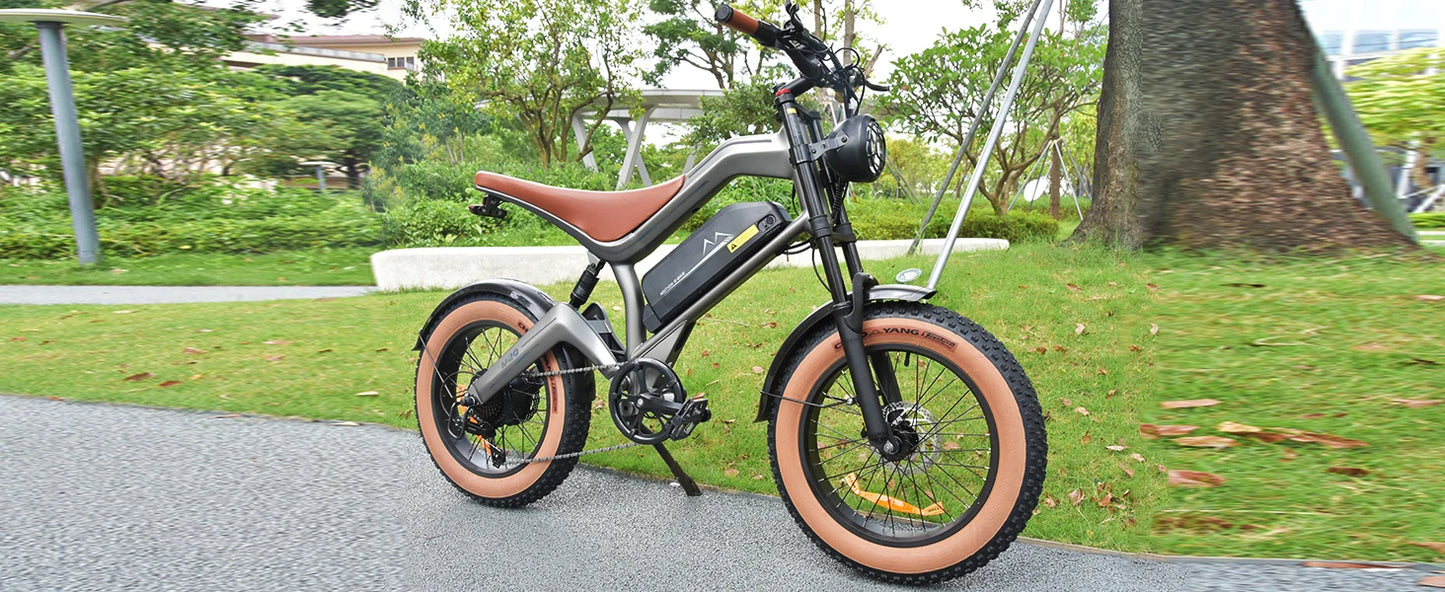 M20 Electric Bicycle Peak 1500W Motor 48V18.2AH Lithium Battery Electric Bike Hydraulic Brake 20*4.0 Inch Fat Tire E-bike
