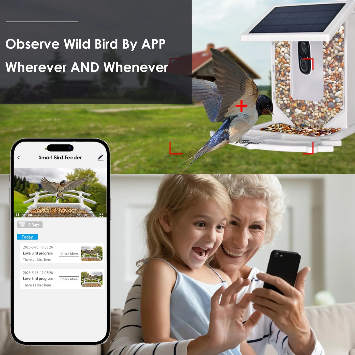 Blue Smart Bird Feeder with Camera, Outdoor Bird Feeding House 2.5L Waterproof, Solar-Powered, HD Bird Watching Camera (blue)