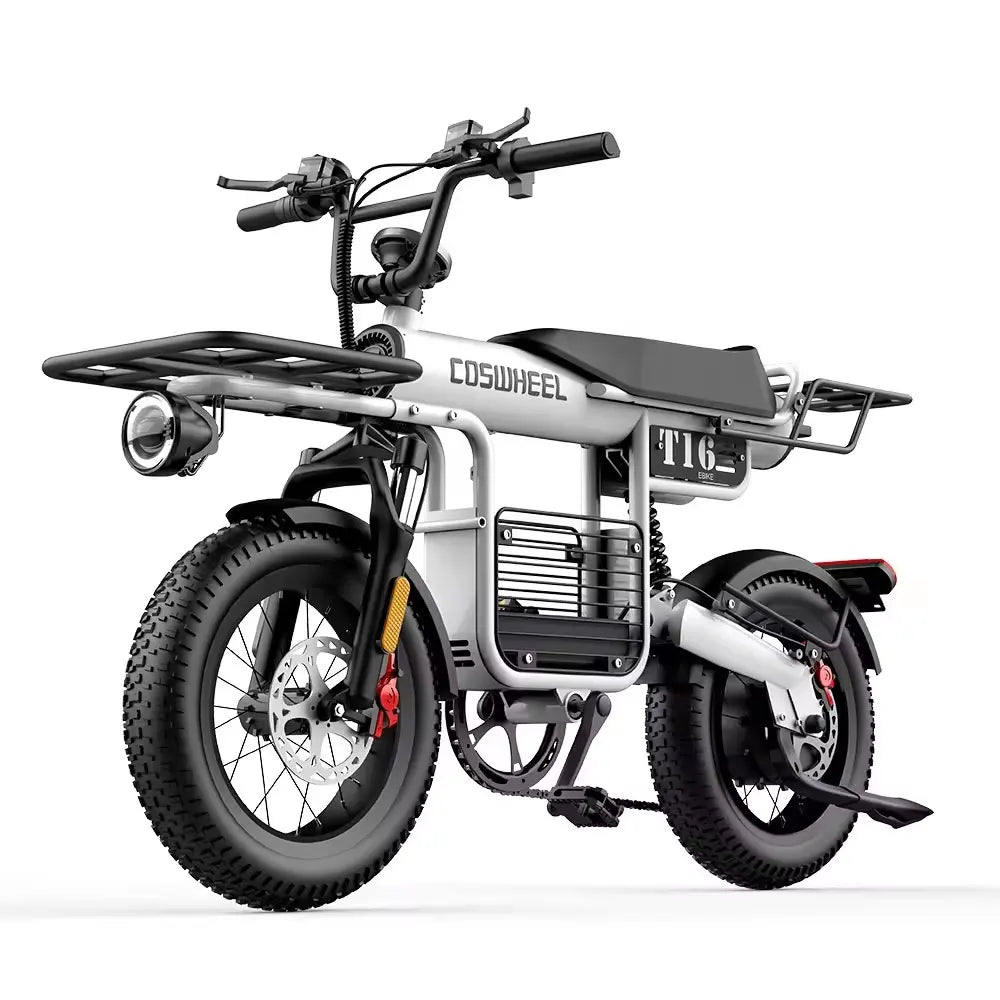 Coswheel Electric Bike T16 Adult 1000W 48V 20AH Removable battery Mountain Ebikes Fat Tire City Commuting Used ebike