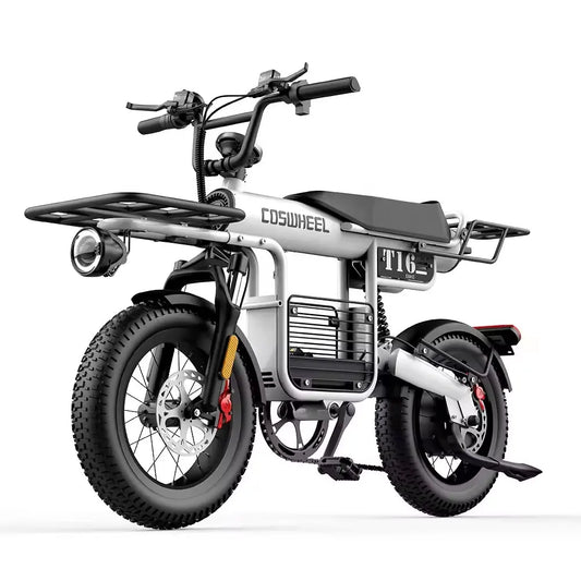 Coswheel Electric Bike T16 Adult 1000W 48V 20AH Removable battery Mountain Ebikes Fat Tire City Commuting Used ebike