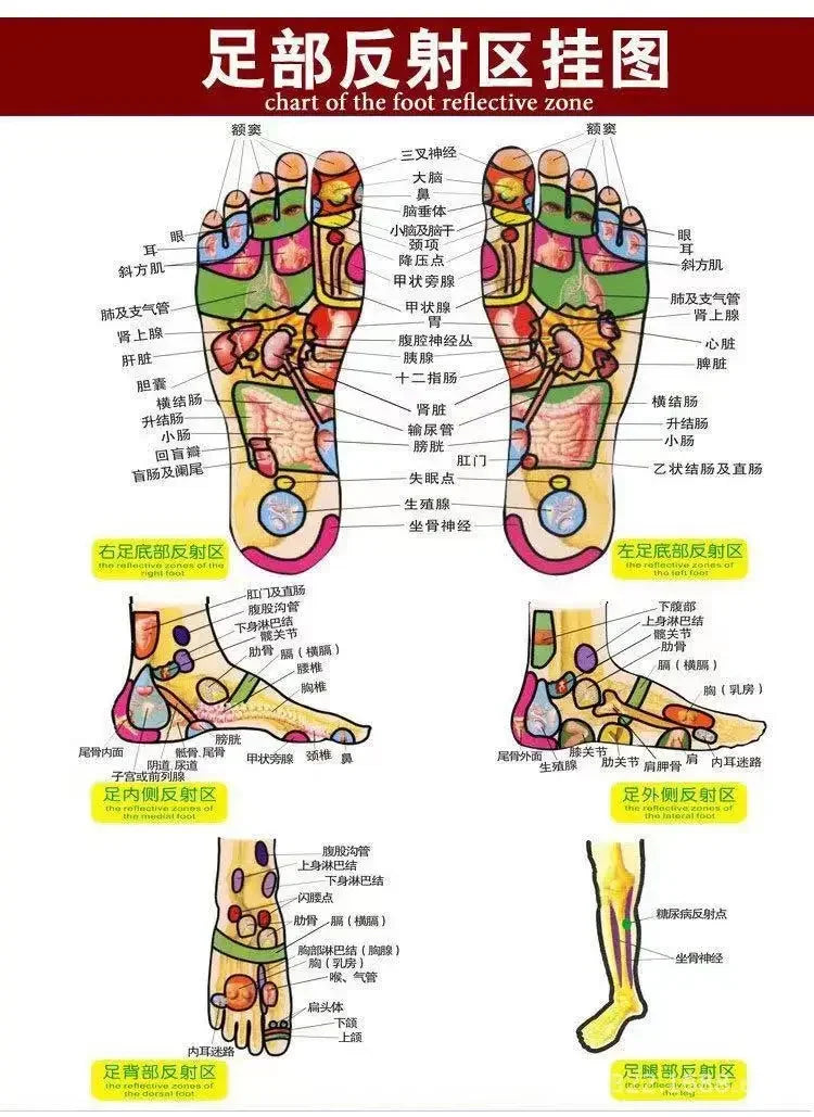 A Pair Of Acupoint Massage Slippers For Both Men And Women, Chinese Style Acupoint Rotating Foot Massage Shoes, Unisex Style