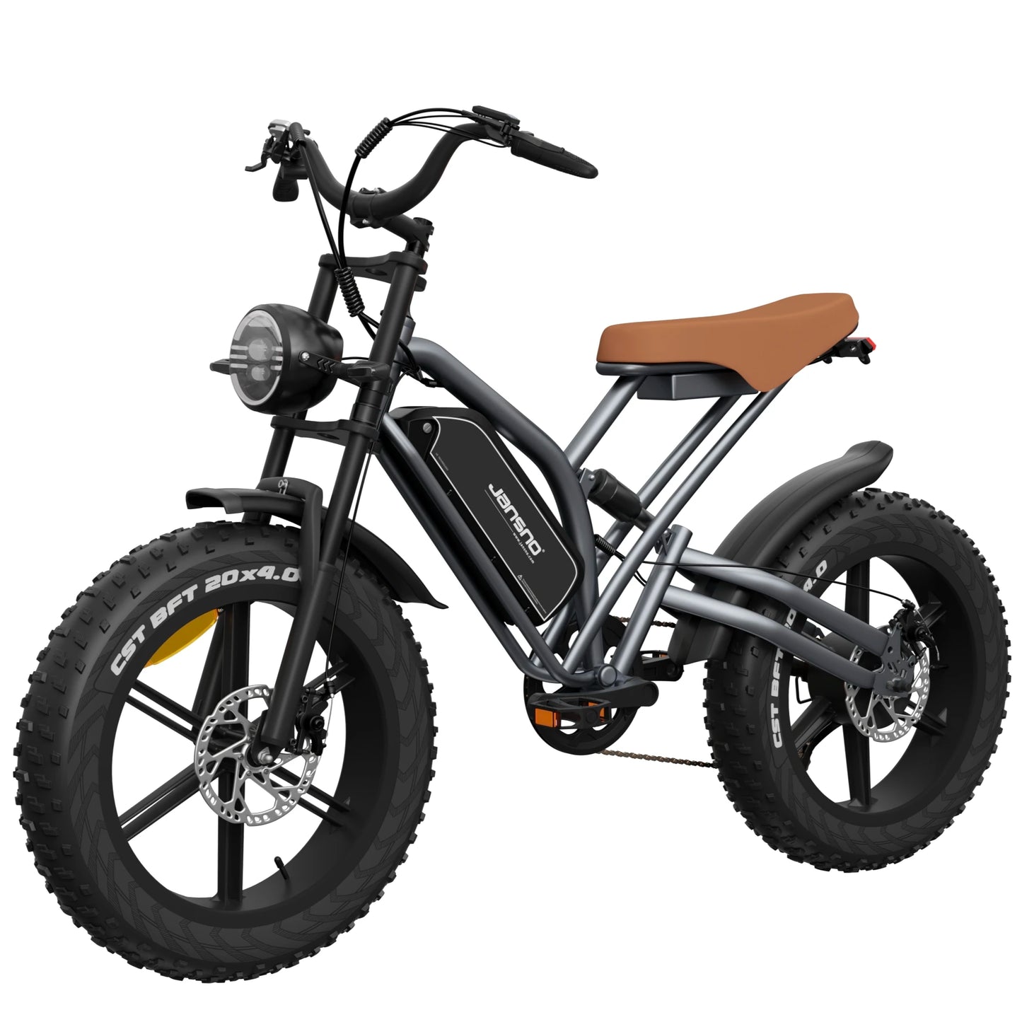 Electric Bike 30MPH 1000W Peak Motor Electric Bicycle Adult 20*4 Inch Fat Tire Full Suspension Mountain Snow E-bike Battery 48V