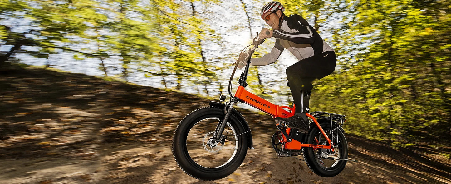 1000W Folding Electric Bike, 48V 20AH Large Removable Battery E Bike, 30+MPH, 80 Miles Max Range, 20" Fat Tire Electric Bike for