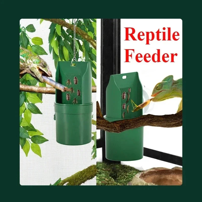 20X10cm Reptile Water Drinker  Durable Materials Amphibian Terrarium Feeding Bowl Reptiles Feeder for Lizard Chameleon