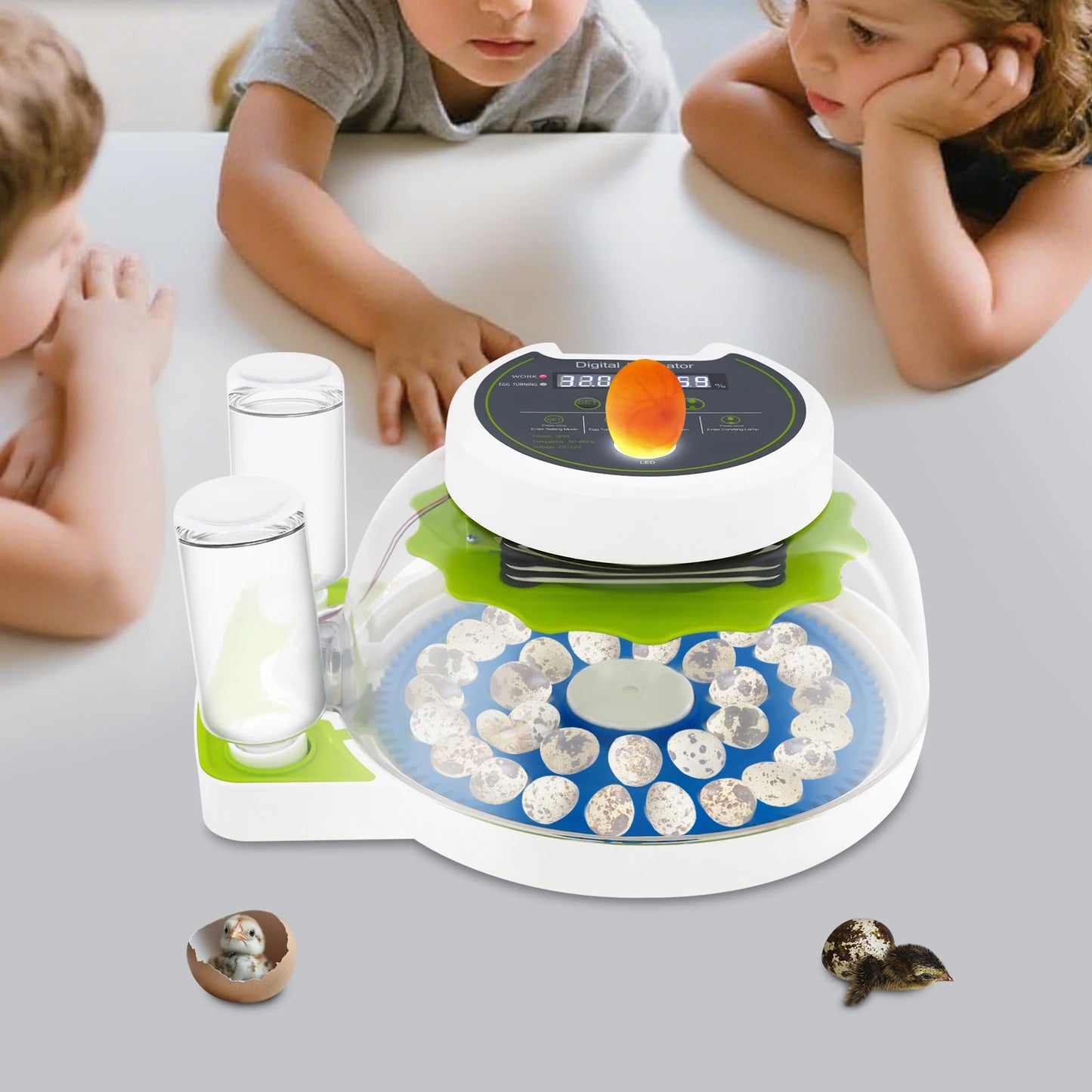 Quail Egg Incubator 33-Egg Automatic Poultry Quail Incubator with Dual Power & LED Light for Home/Farm/School