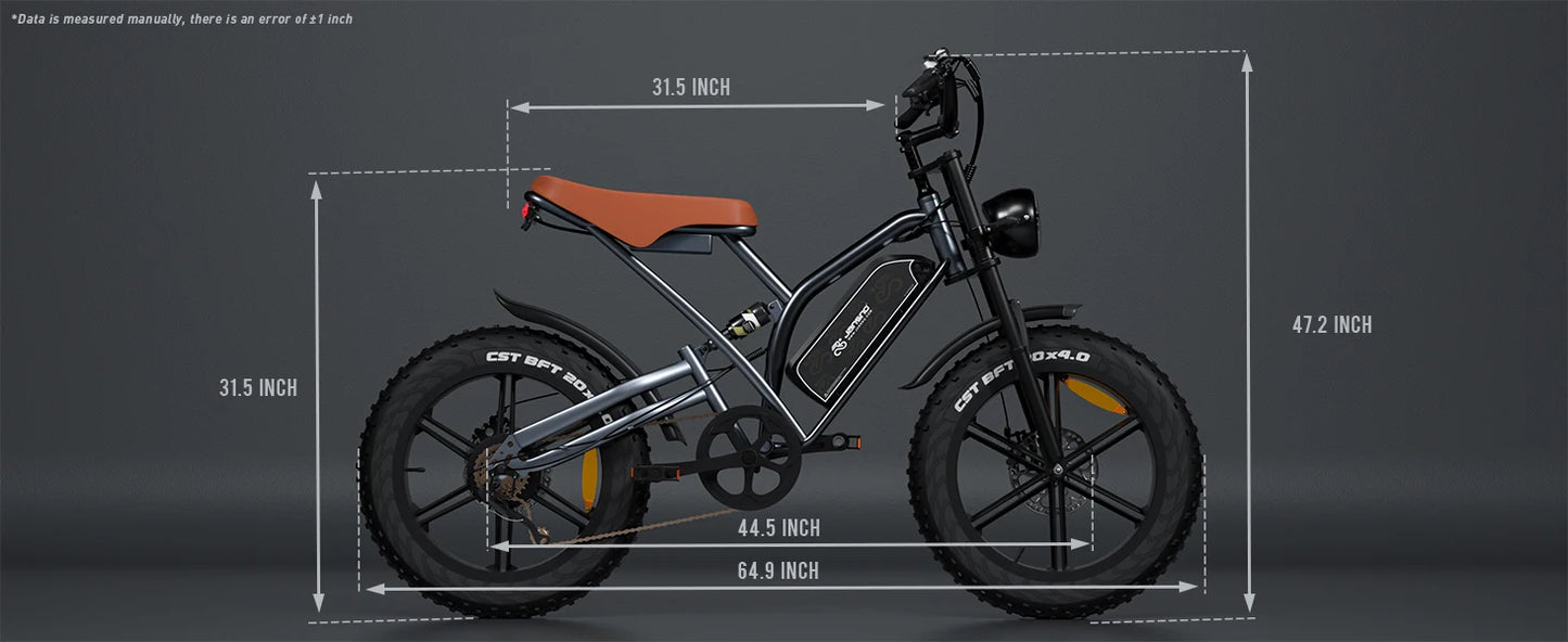 Electric Bike 30MPH 1000W Peak Motor Electric Bicycle Adult 20*4 Inch Fat Tire Full Suspension Mountain Snow E-bike Battery 48V