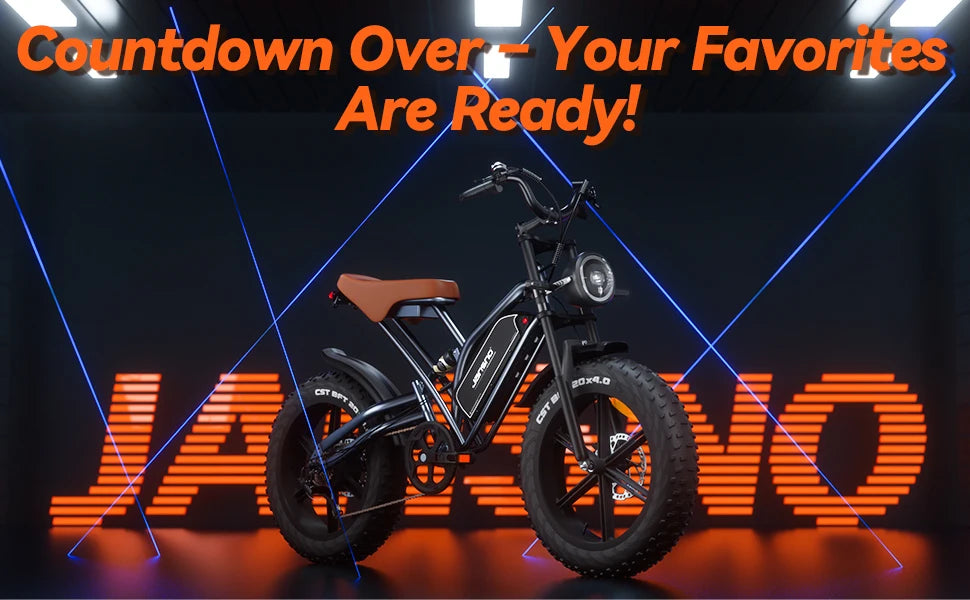 Electric Bike 30MPH 1000W Peak Motor Electric Bicycle Adult 20*4 Inch Fat Tire Full Suspension Mountain Snow E-bike Battery 48V