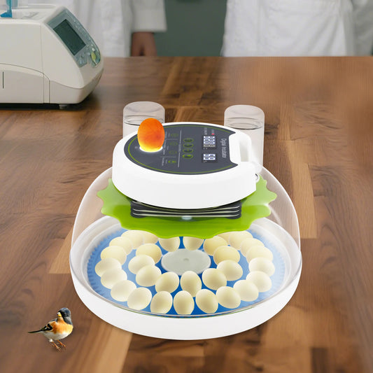Quail Egg Incubator 33-Egg Automatic Poultry Quail Incubator with Dual Power & LED Light for Home/Farm/School