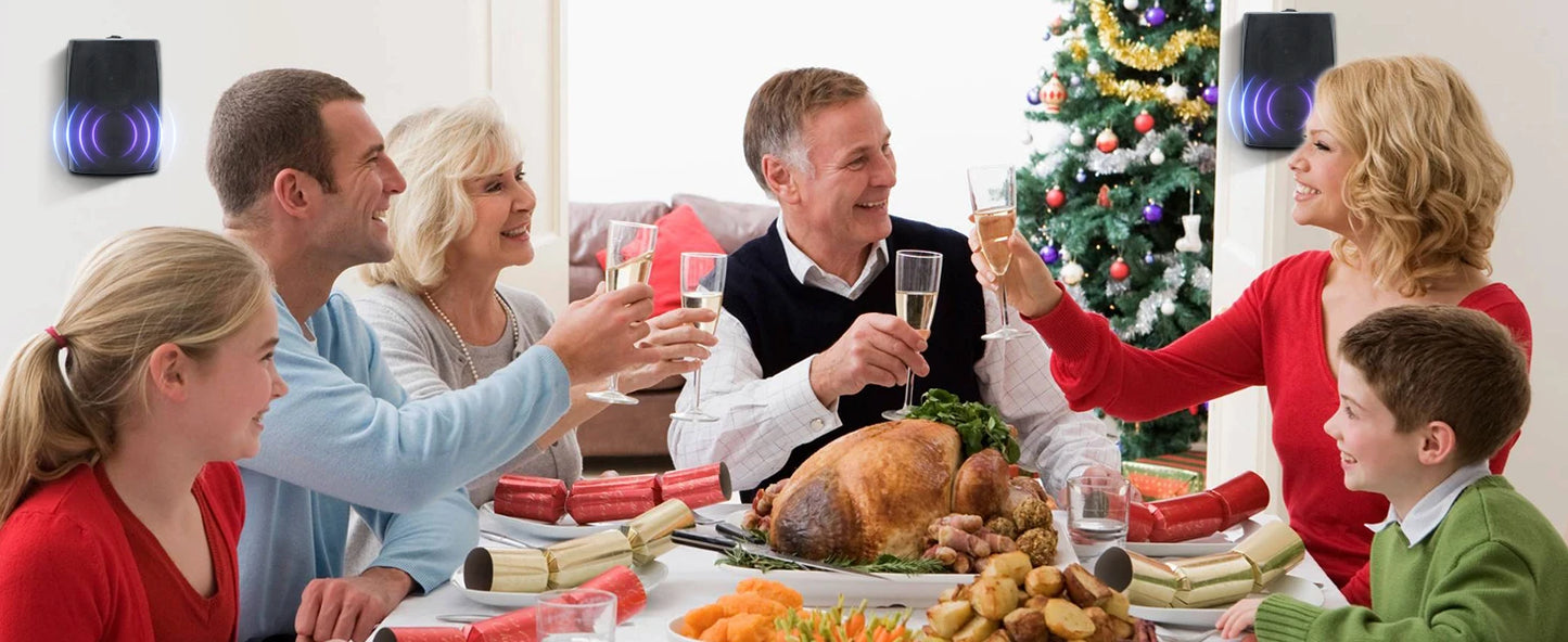 Herdio 4PCS 6.5‘’ 800W Outdoor Bluetooth Speakers Wired Waterproof With Multifunctional Amplifier Wall Mount Speakers For Patio