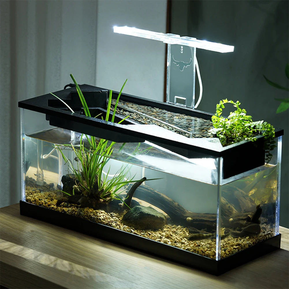 Desktop Fish Tanks High Transparency Acrylic Rectangular for Shrimp Small Fish Guppy Room&Office Desktop Decor with Pump + Light
