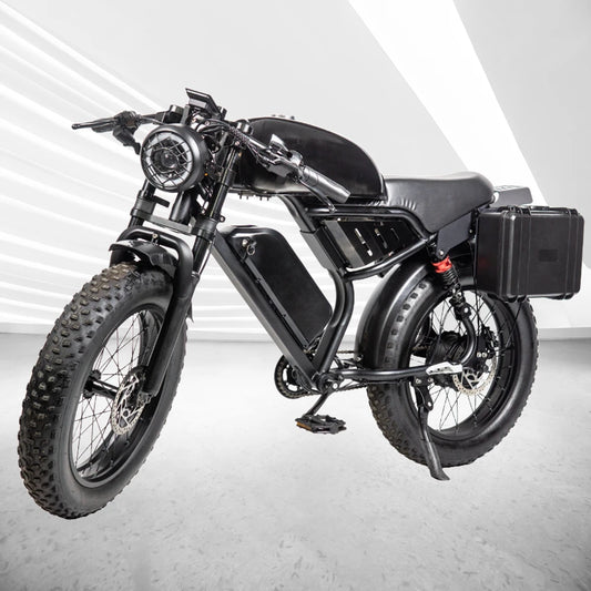 20" Electric Motorcycles Mountain fat tire E Bike for Adults, 1000W Peak Motor Ebike 29Mph 35Miles 48V 15.6AH Electric Bicycle