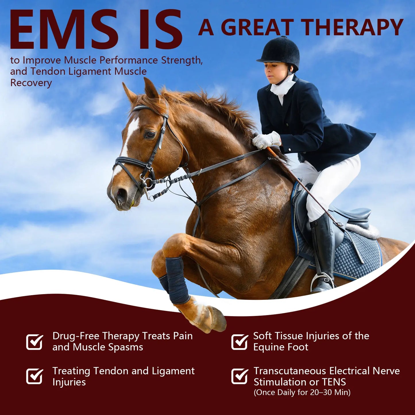 Cold Laser Therapy Device for Horse 4x808NM LLLT&TENS for Arthritis Pain Relief Electrical Stimulation for Tendon Recover