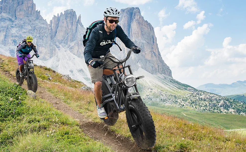 Electric Bike 30MPH 1000W Peak Motor Electric Bicycle Adult 20*4 Inch Fat Tire Full Suspension Mountain Snow E-bike Battery 48V