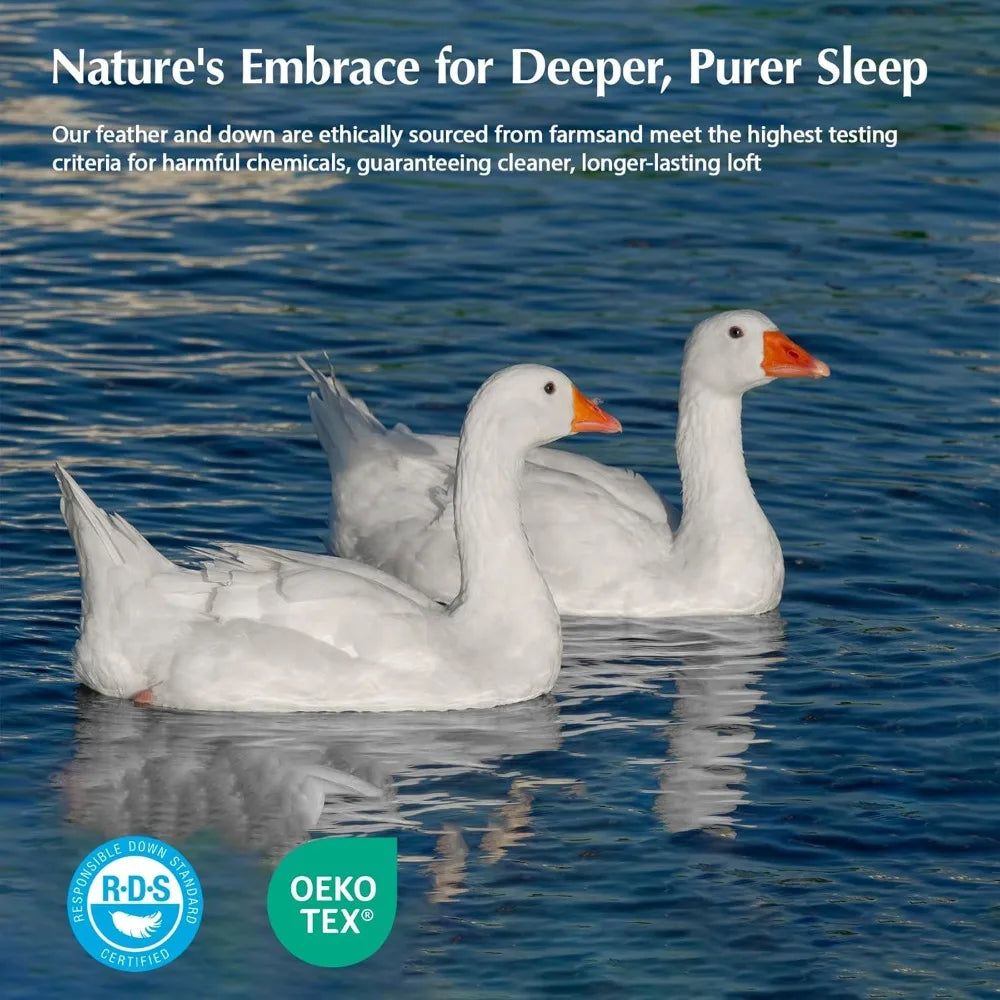 King Size Pacific Coast Goose Down Duvet - Extra Plush White Comforter, Soft, Breathable, All-Season Use