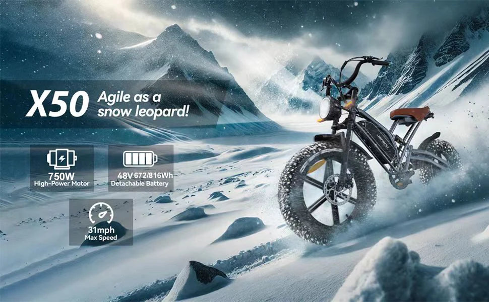 Electric Bike 30MPH 1000W Peak Motor Electric Bicycle Adult 20*4 Inch Fat Tire Full Suspension Mountain Snow E-bike Battery 48V