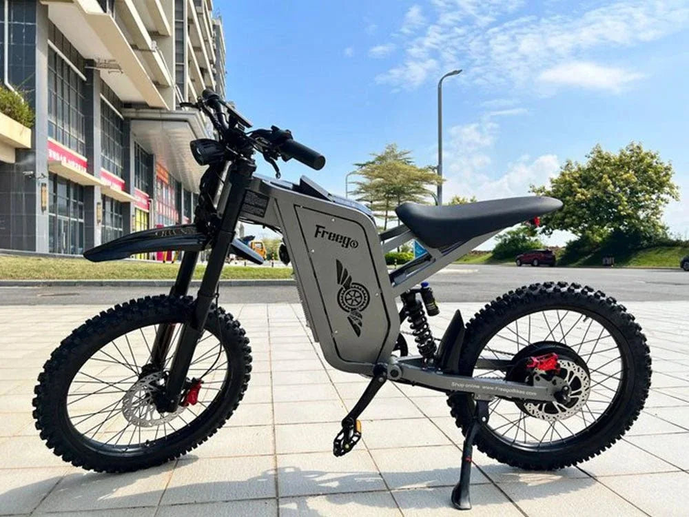 Freego X2 Pro Electric Motorcycle for Adults 6000W Brushless Gearless Motors 30AH Lithium Battery Speed 90Kmh Electric Dirt Bike