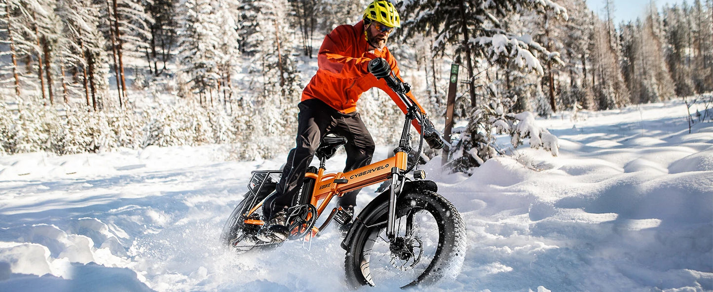 1000W Folding Electric Bike, 48V 20AH Large Removable Battery E Bike, 30+MPH, 80 Miles Max Range, 20" Fat Tire Electric Bike for