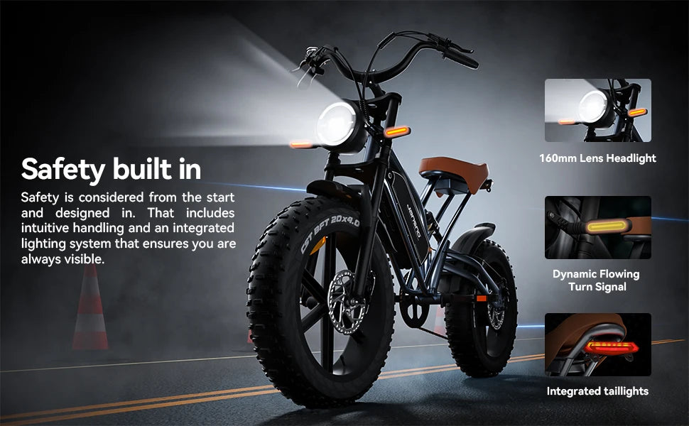 Electric Bike 30MPH 1000W Peak Motor Electric Bicycle Adult 20*4 Inch Fat Tire Full Suspension Mountain Snow E-bike Battery 48V