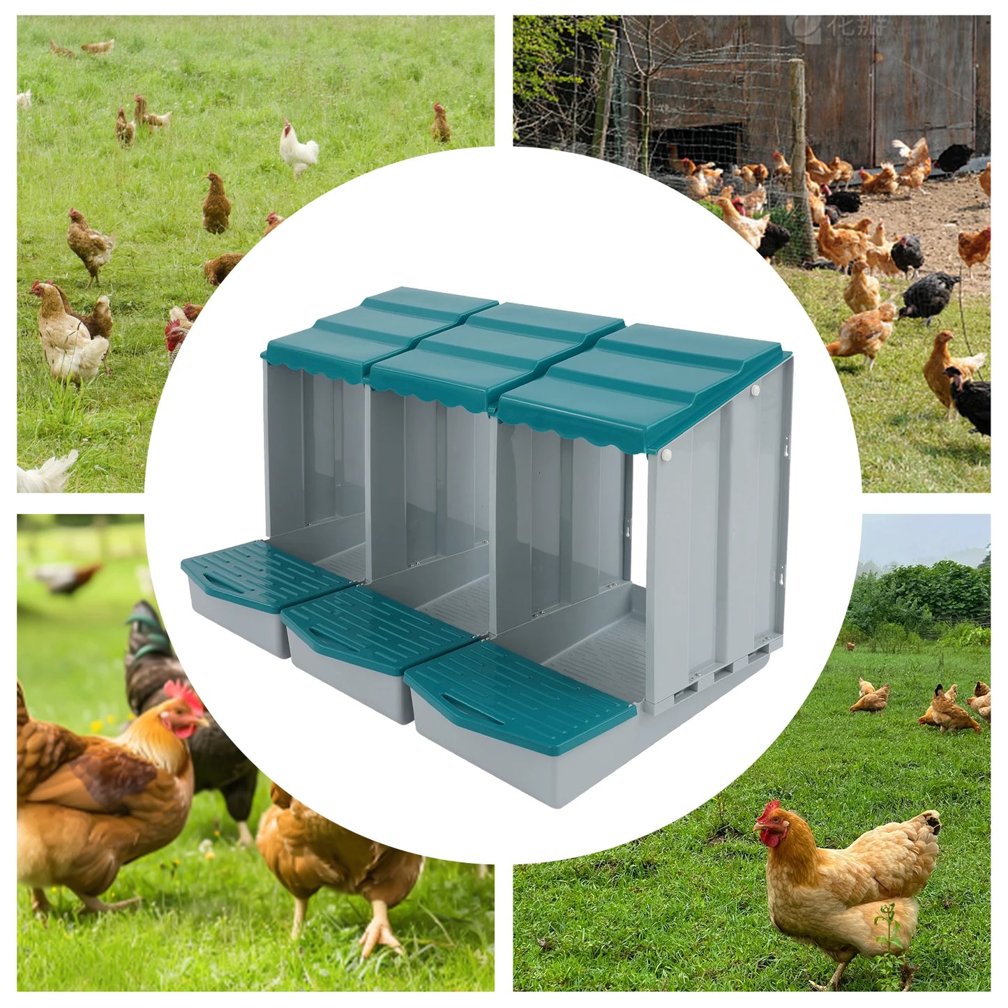 3-Compartment Chicken Nesting Box Chicken Laying Box with Egg Collection