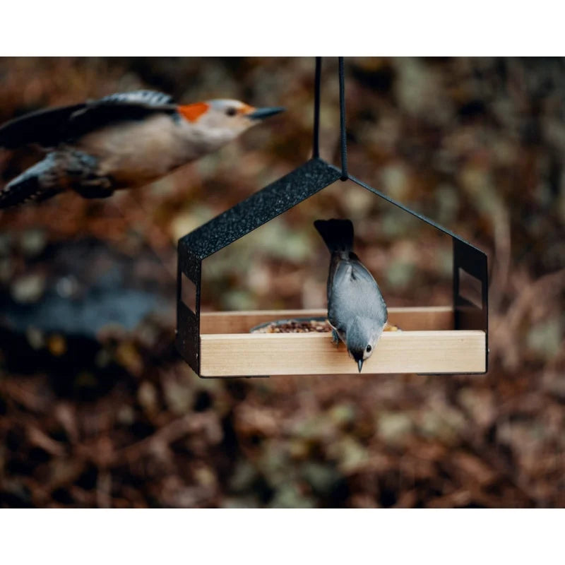 1PC Outdoor gardening, Metal house Modern bird feeder garden decoration, hummingbird feeder, hanging bird house