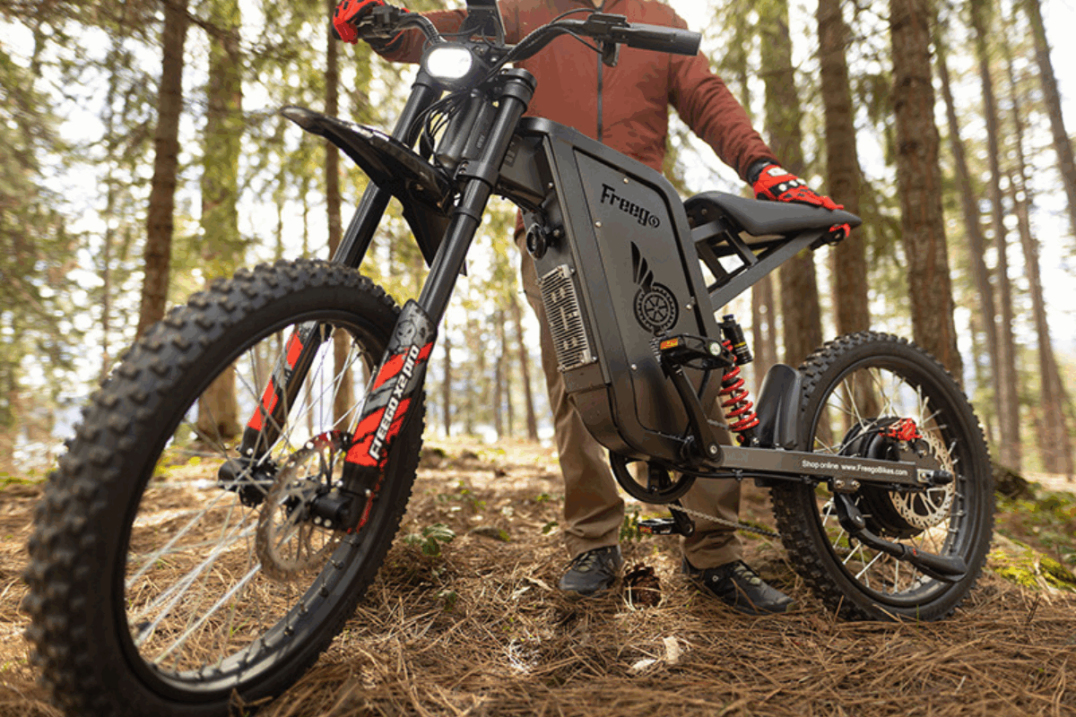 Freego Electric Dirt Bike for Adults X2 Pro Electric Motorcycle 6000W Motor 1800wh Battery Full Suspension 50MPH off-road E-Bike